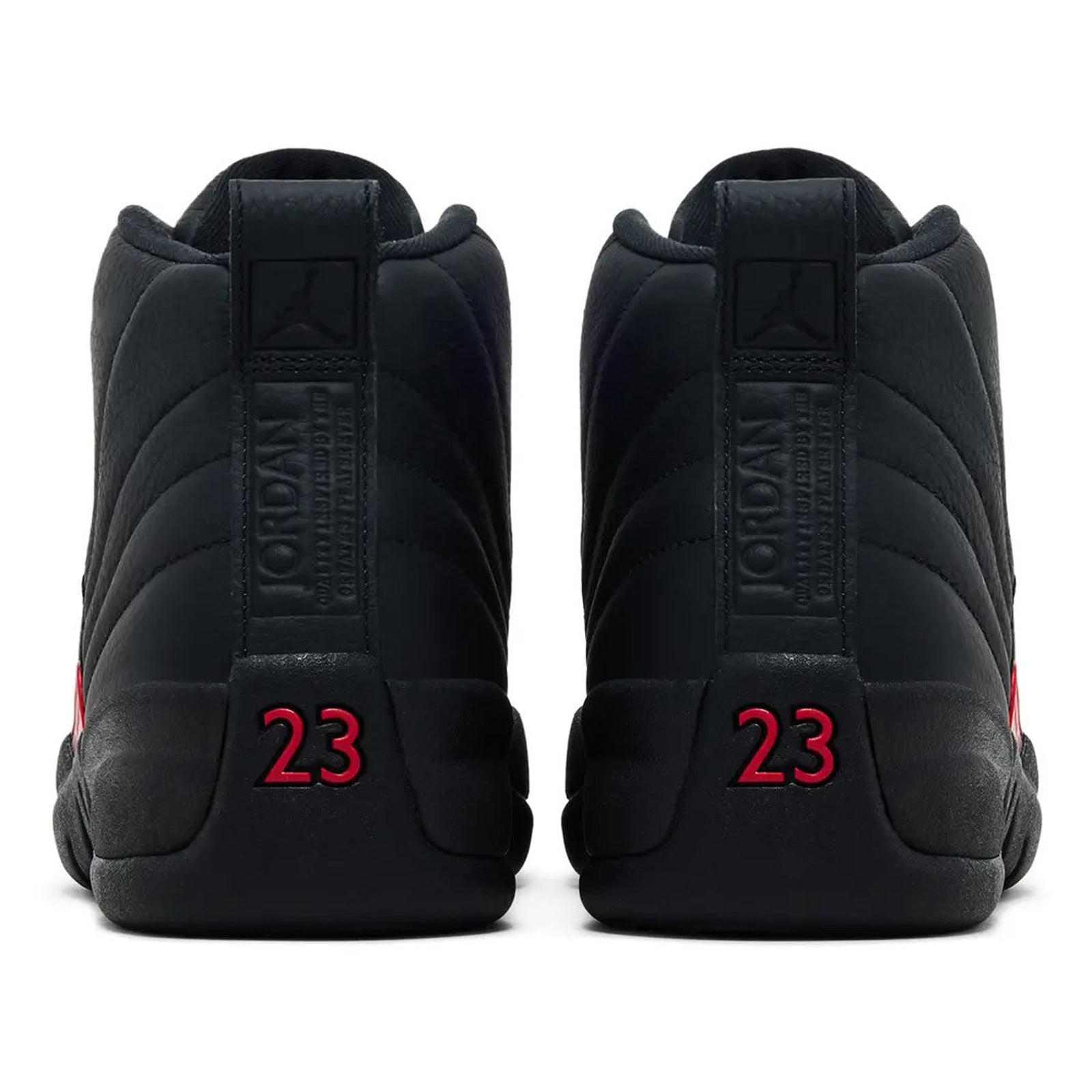 Air Jordan 12 Retro 'Bloodline'(CT8013-003)